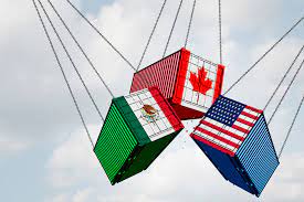 Versión 2025 del SAFE Framework of Standards to Secure and Facilitate Global Trade - Marco SAFE Versión 2025 del SAFE Framework of Standards to Secure and Facilitate Global Trade - Marco SAFE