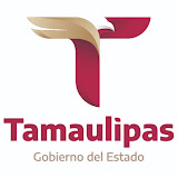 Presupuesto de Egresos del Estado de Tamaulipas – Ejercicio Fiscal 2026